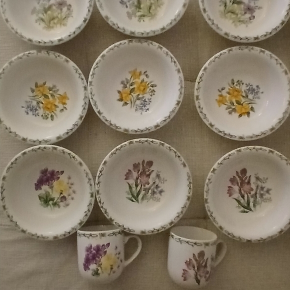 Thomson Floral Garden Bowls (9) Two Floral Garden Coffee Cups.
